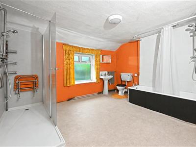 Picture 12